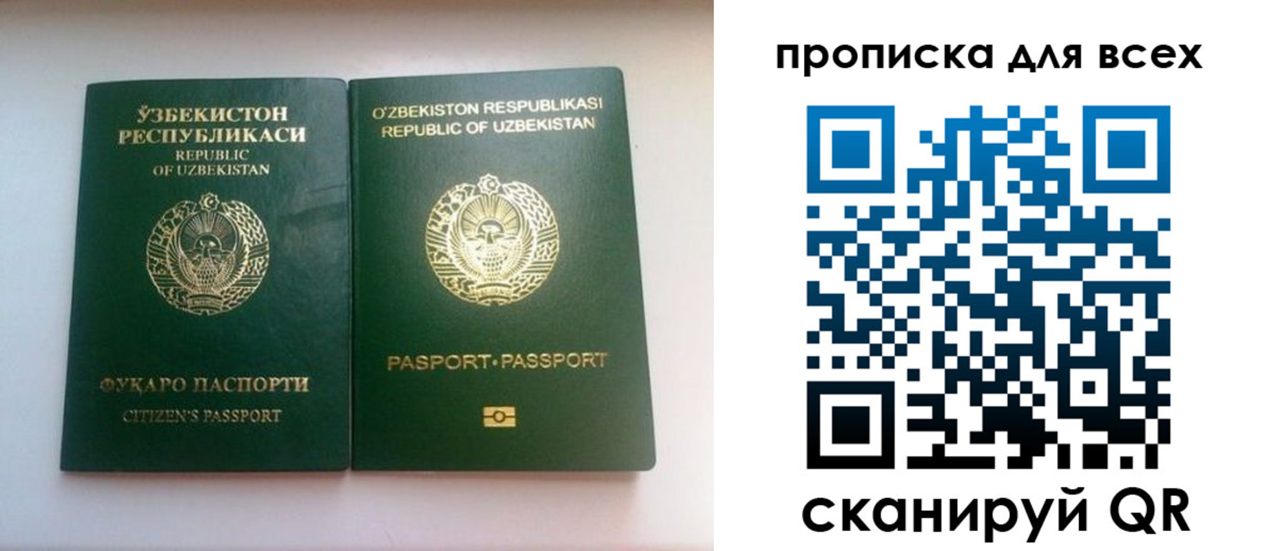 прописка для школы в Колпашево